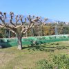 1-комн. вилла360 000 EUR Олимпийская Ривьера ID-113954 изображение 15