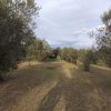 2-комн. дом299 000 EUR Олимпийская Ривьера ID-113972 изображение 12