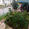 1-комн. квартира200 000 EUR Олимпийская Ривьера ID-113996 изображение 20