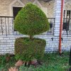 1-комн. дом800 000 EUR Ситония ID-114027 изображение 18