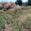 участок190 000 EUR Кассандра ID-114078 изображение 2