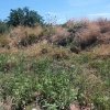 участок190 000 EUR Кассандра ID-114079 изображение 2