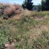 участок190 000 EUR Кассандра ID-114079 изображение 3