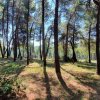 вилла2 650 000 EUR Кассандра ID-114103 изображение 14