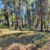 вилла2 650 000 EUR Кассандра ID-114103 изображение 22