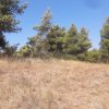 участок290 000 EUR Аттика ID-114105 изображение 4