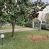 1-комн. квартира310 000 EUR Афины ID-114130 изображение 12