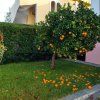 3-комн. дом135 000 EUR Аттика ID-114169 изображение 3