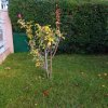 3-комн. дом135 000 EUR Аттика ID-114169 изображение 9
