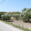 участок300 000 EUR Ситония ID-114186 изображение 3
