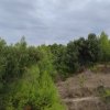 2-комн. дом105 000 EUR Кассандра ID-114202 изображение 20