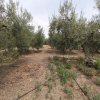 участок85 000 EUR Poligiros ID-114228 изображение 2