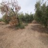 участок85 000 EUR Poligiros ID-114228 изображение 3