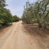 участок85 000 EUR Poligiros ID-114228 изображение 4