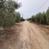 участок85 000 EUR Poligiros ID-114228 изображение 5