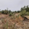 участок85 000 EUR Poligiros ID-114228 изображение 6