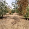 участок85 000 EUR Poligiros ID-114228 изображение 7